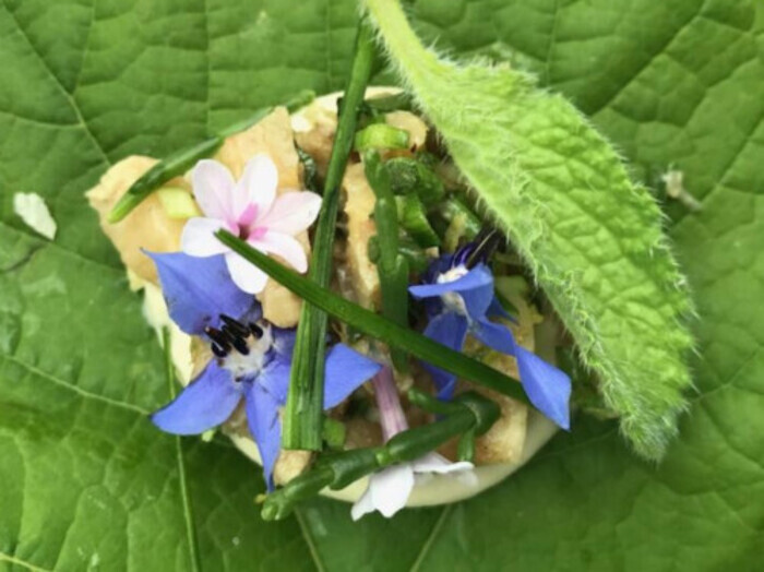 Un chef au jardin Broutilles