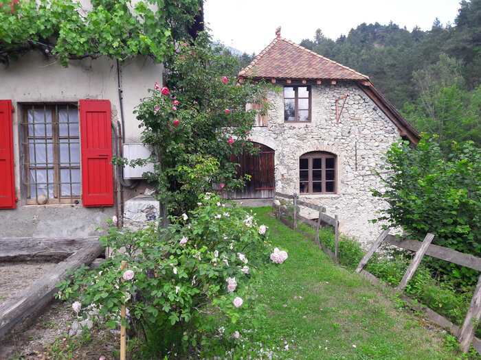 Découverte d'un moulin du XIXe siècle