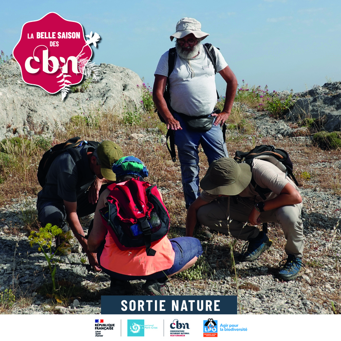 Balade nature - Les plantes et les oiseaux du littoral des Salins (Hyères - 83)