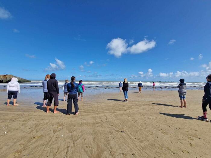 Secrets de nature : balade bota sophro bord de mer