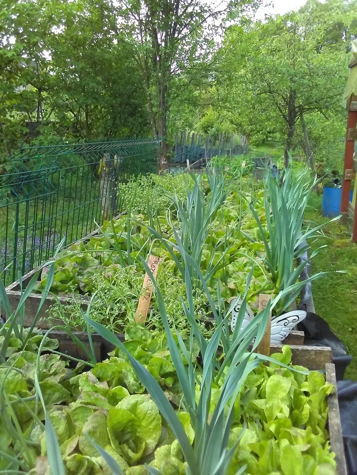 Visite des jardins de Fraîche-Comté