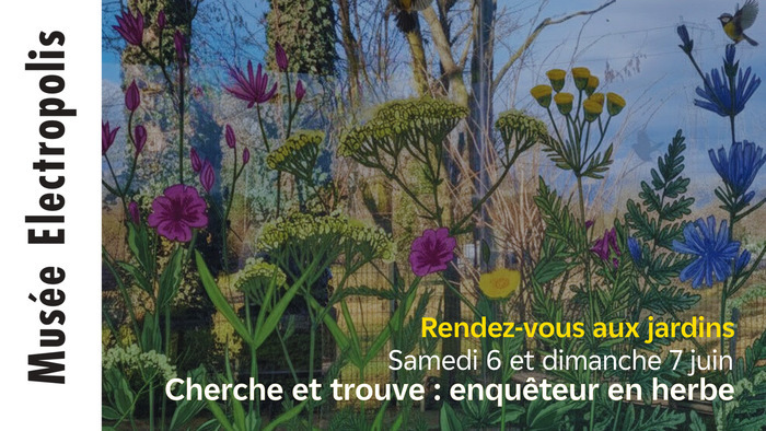 Cherche et trouve : enquêteur en herbe