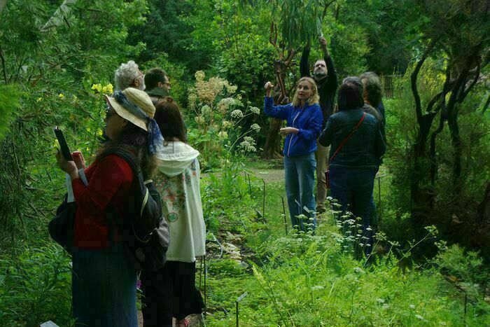 Visites guidées du jardin botanique de la faculté de santé d'Angers