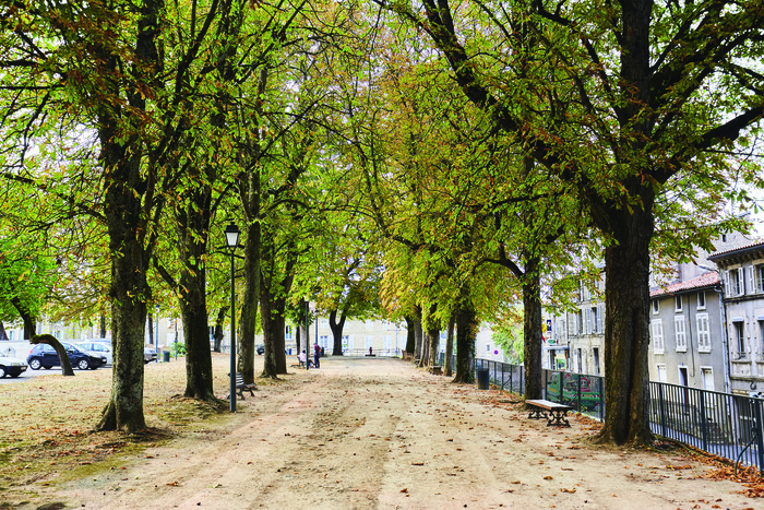 Paysage et patrimoine : une histoire de regards