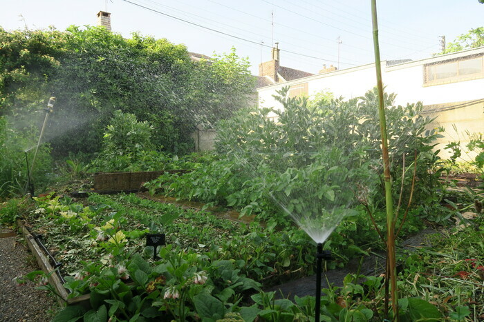 Jardinons ! Atelier "penser l'eau au jardin"