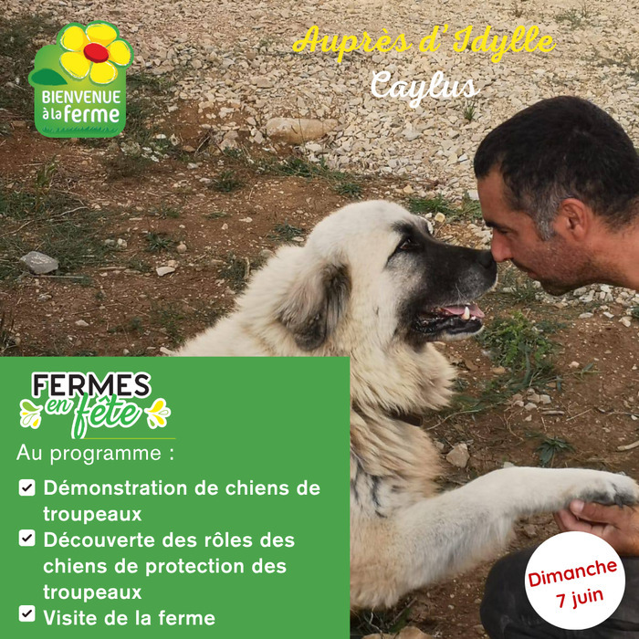 Auprès d'Idylle - Printemps Bio et Quinzaine de la Bio