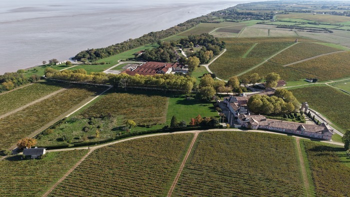 Vues remarquables du vignoble du Château Loudenne