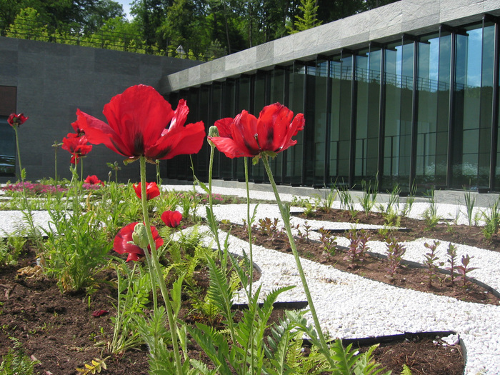 Visite-atelier "Esprit jardin"
