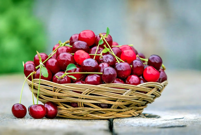 Fête de la Cerise d'Itxassou