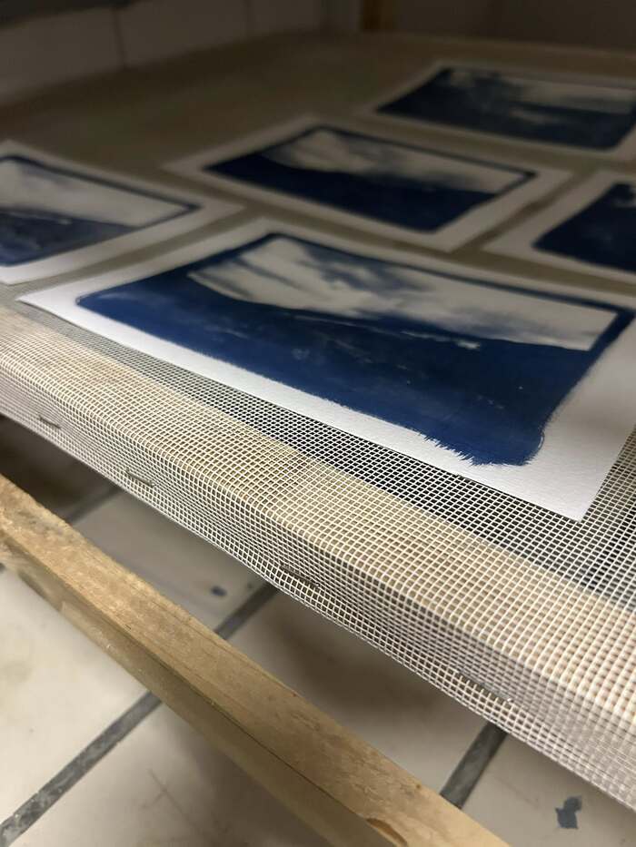 Ateliers d'initiation au cyanotype