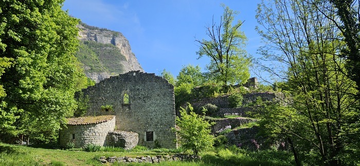 Visites et animations autour du Château de Montfort
