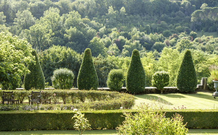 Voir sans être vu : les oiseaux du jardin