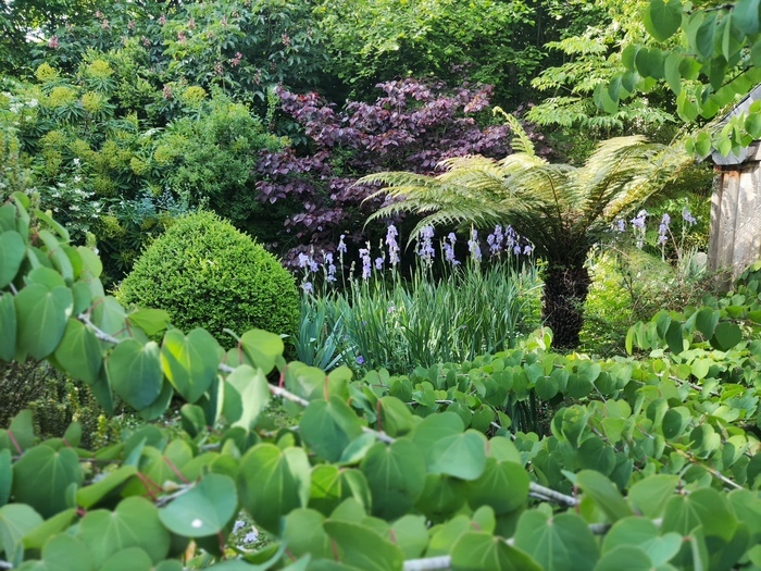 Visite guidée du jardin
