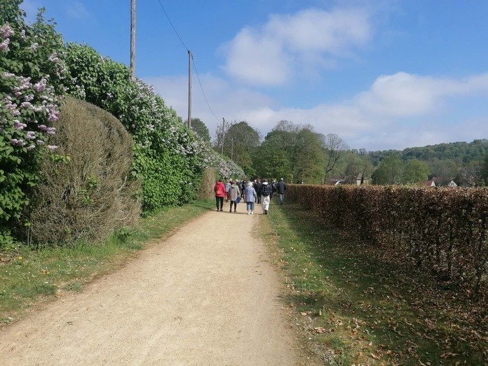 Marche du patrimoine