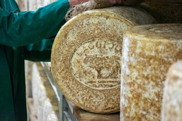 Coopérative fromagère Jeune Montagne