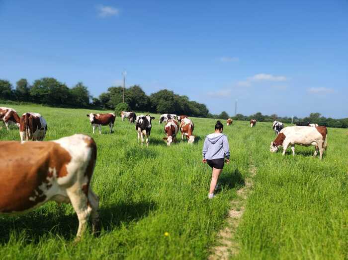 Visite en famille : De la vache jusqu'au bol de lait.