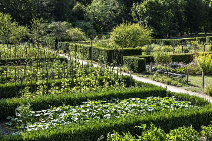 Perspectives inédites sur les jardins de Royaumont