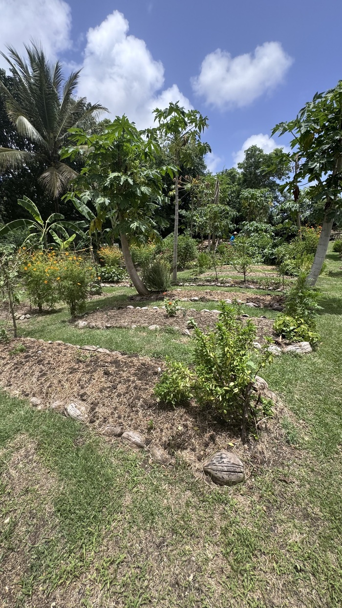 La vue en éveil au jardin