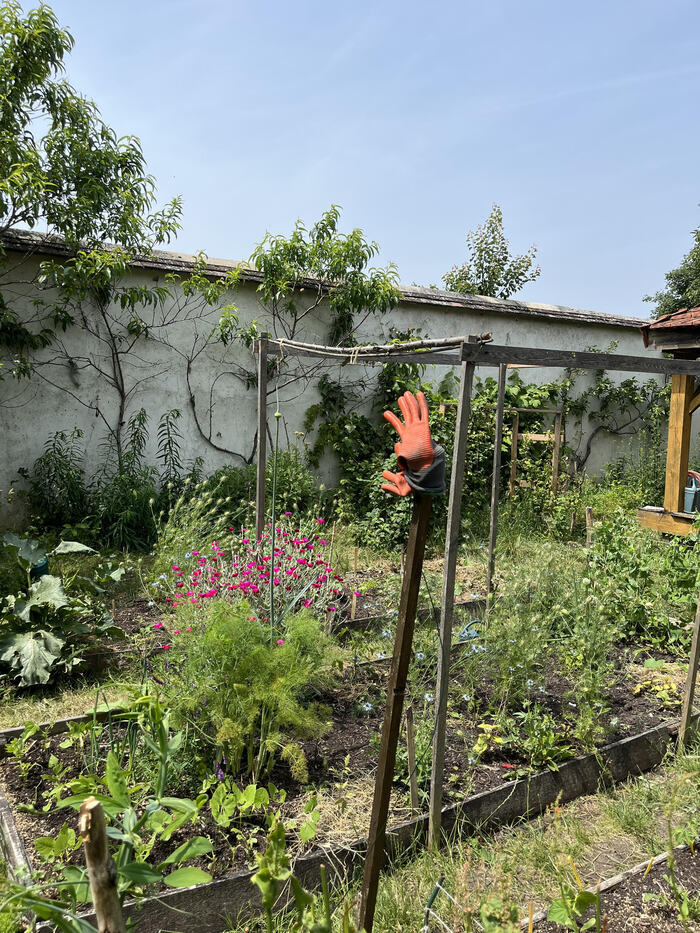 Ateliers de jardinage avec l'association de Culture(s) en Herbe(s)