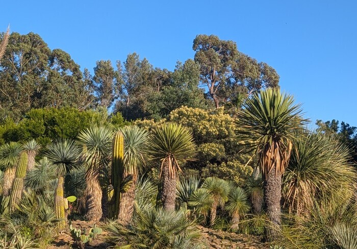Visite guidée botanique au Jardin Zoologique tropical de La Londes Les Maures