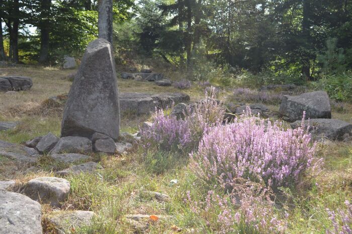 Visite du site de la Croix Guillaume