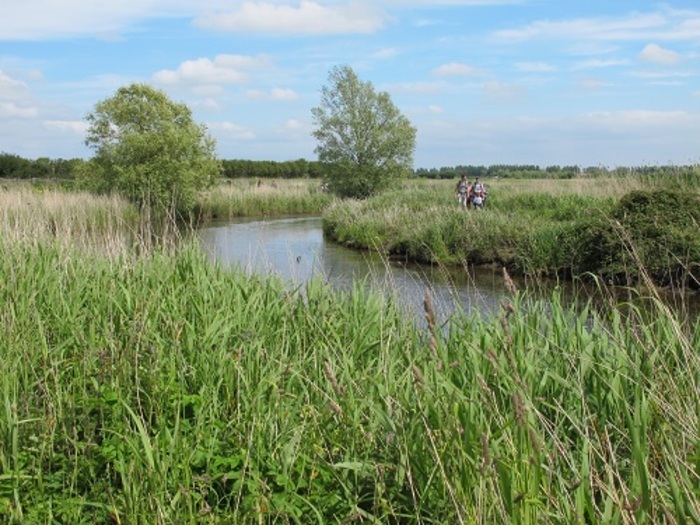 Circuit : randonnée dans les marais des Ponts d’Ouve