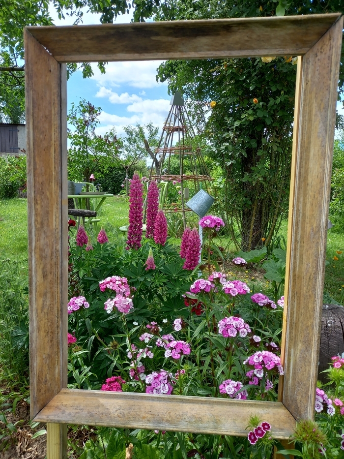 Visite au jardin de Dominique à Laneuville