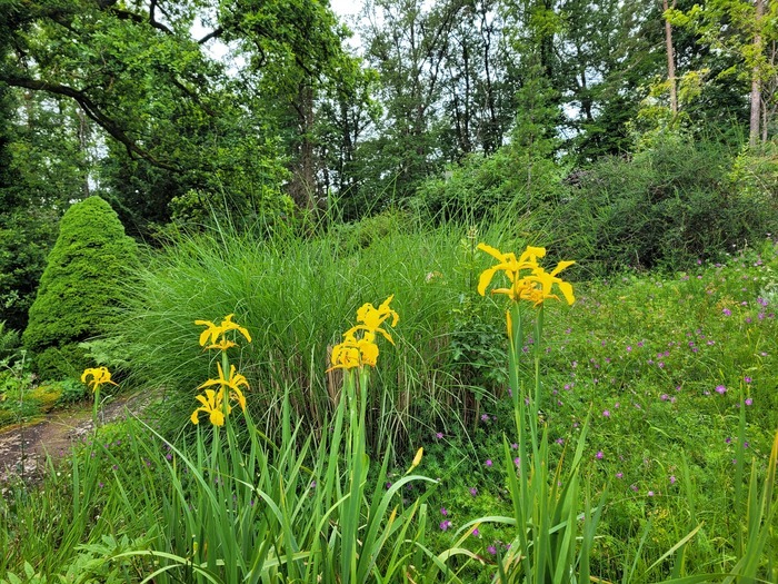 Un jardin enchanteur : le Jardin botanique du col de Saverne