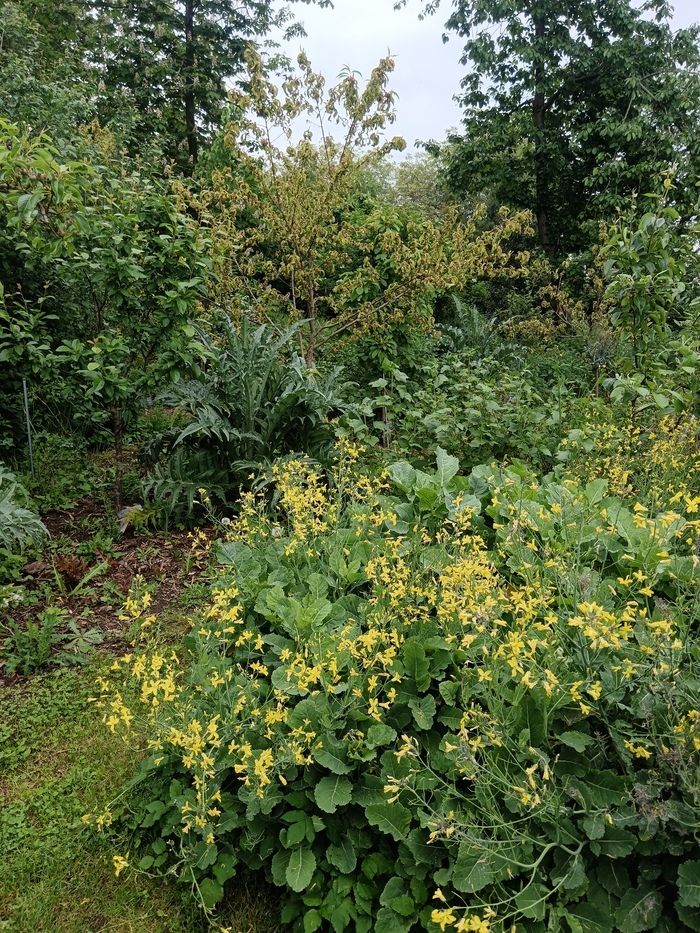 Visite d'une forêt jardin en ville