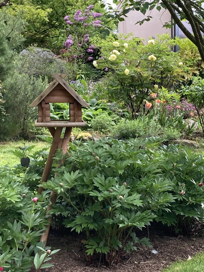 Visite du jardin botanique du Grand Clos