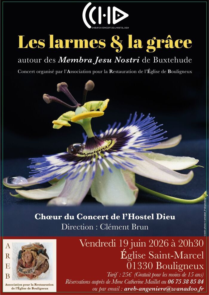 CONCERT : Les larmes & la grâce