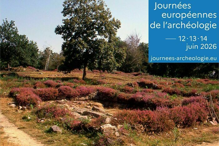 L'apport des analyses d'échantillons pour la connaissance du site - visite guidée thématique du Village de l'an mil