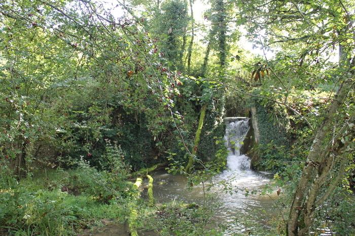 Circuit de découverte du patrimoine rural de Marcilly-Ogny, ses Hameaux et ses lieux dits