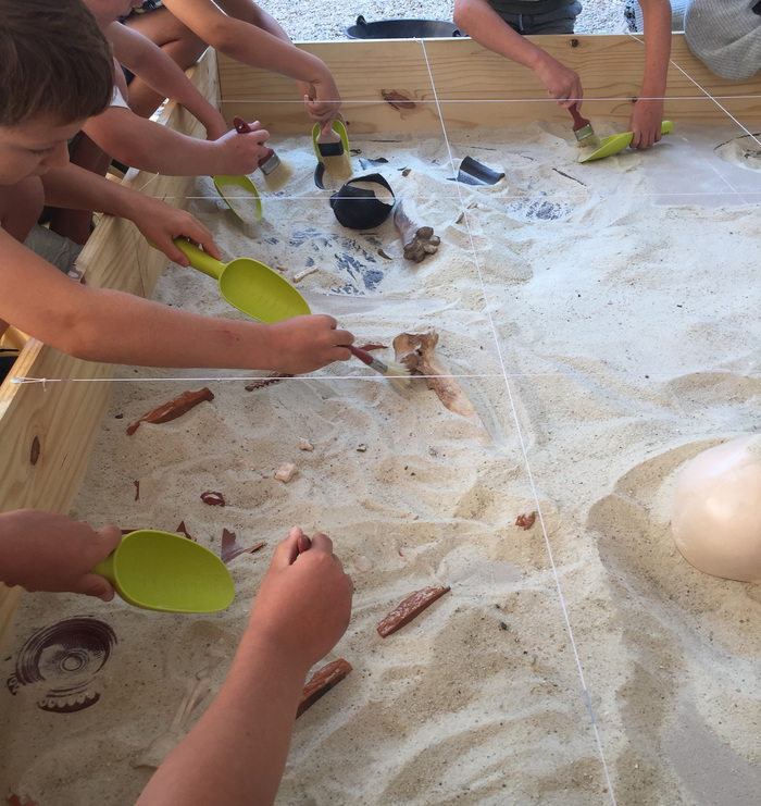 Atelier "A la découverte de l'archéologie - la fouille"