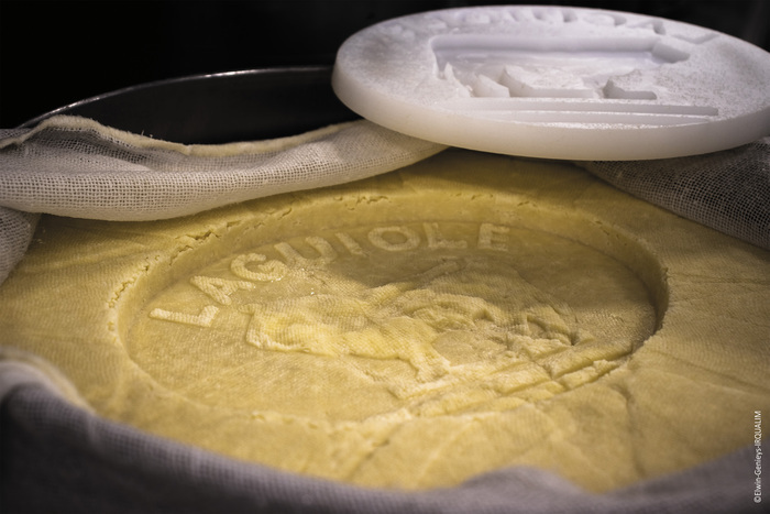 Visite guidée sur la fabrication du fromage