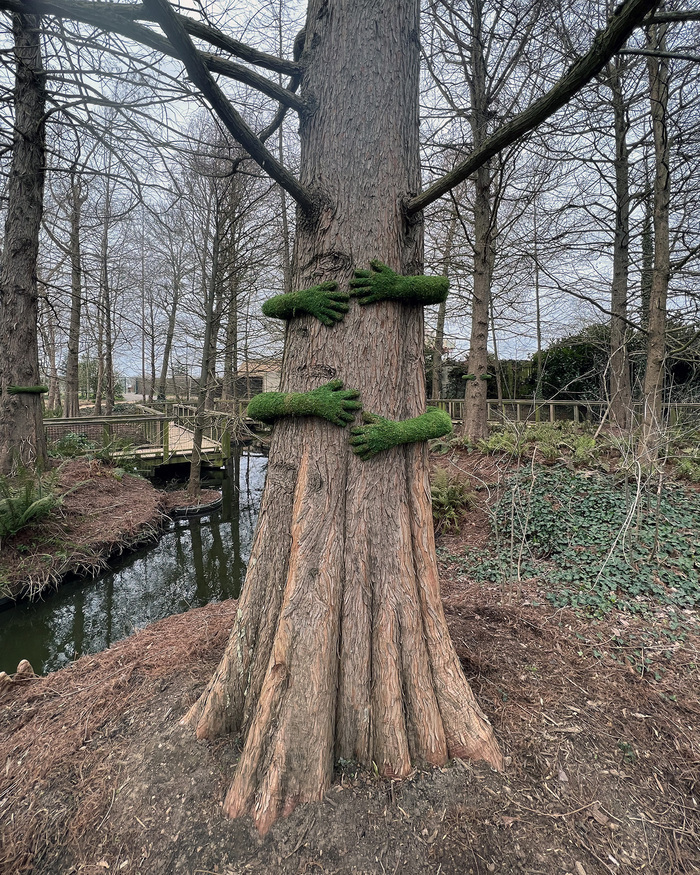 Rencontre avec Monsieur Plant, créateur de l'installation Tree Hug