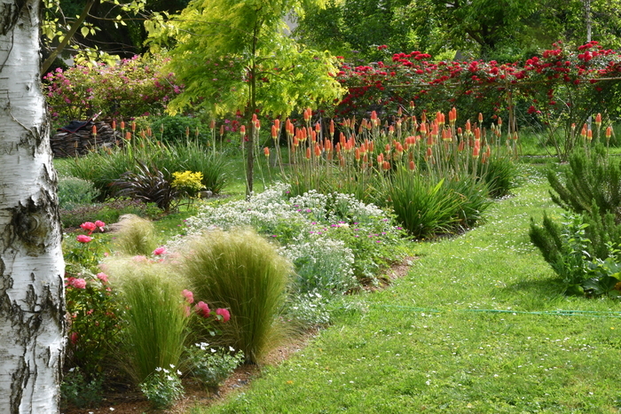 Visite commentée, sur réservation, d’un jardin préservant la biodiversité du Sud-Essonne