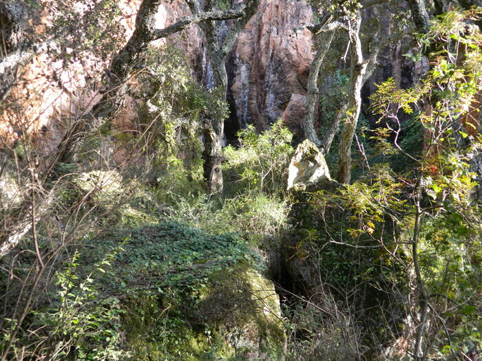 Visite commentée des grottes de La Bouverie