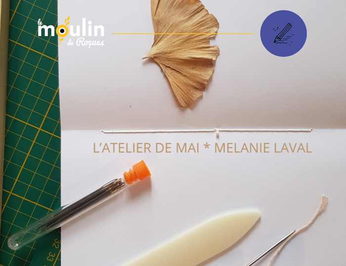Samedi découverte : Mon carnet herbier