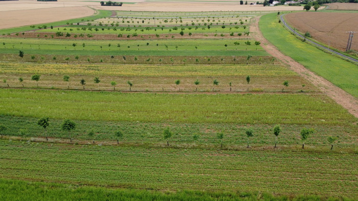 Portes ouvertes : site de production de semences et plants de plantes sauvages et locales, destinées à des projets de renaturation.