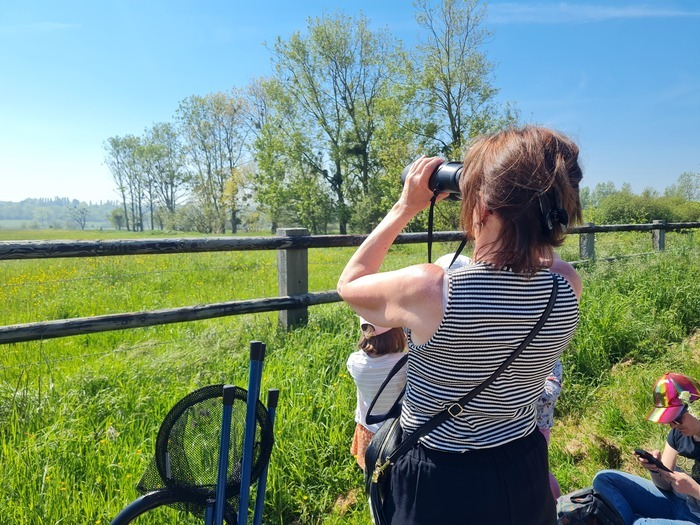 Les richesses du marais de Blonville-Villers