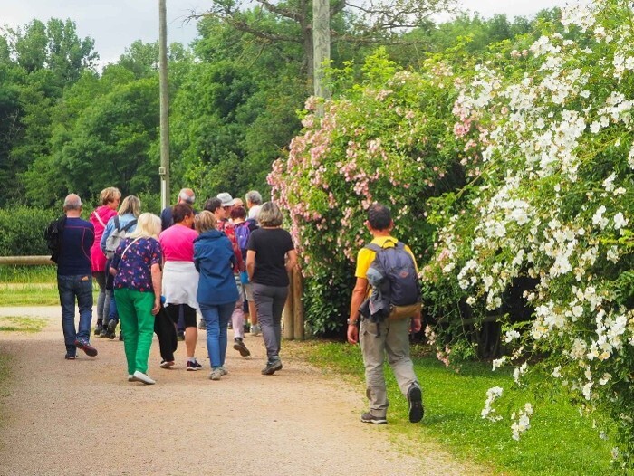 balade sur le sentier de la rose