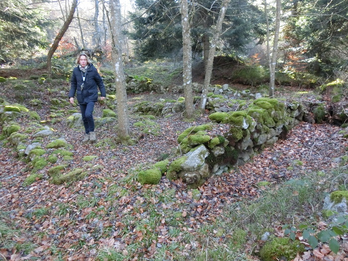 Visite-découverte aux confins des tribus Vellave et Arverne