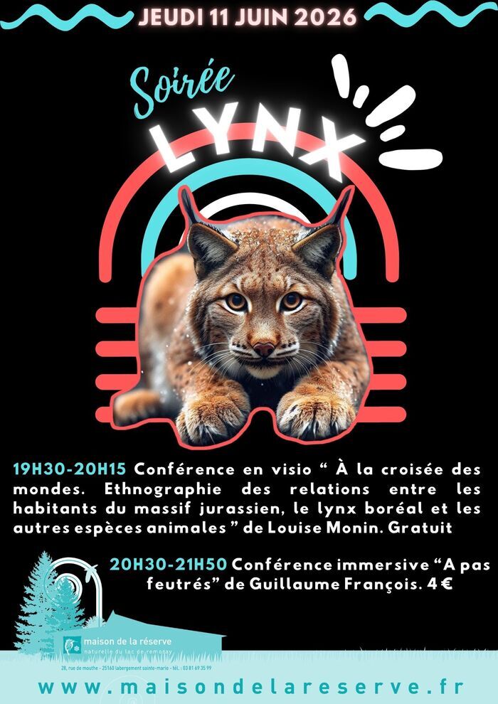 Soirée Lynx