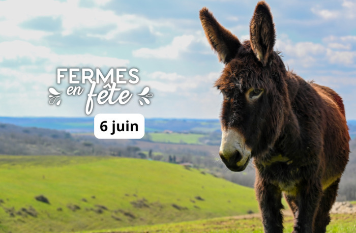 Visite de la savonnerie bio + distillerie