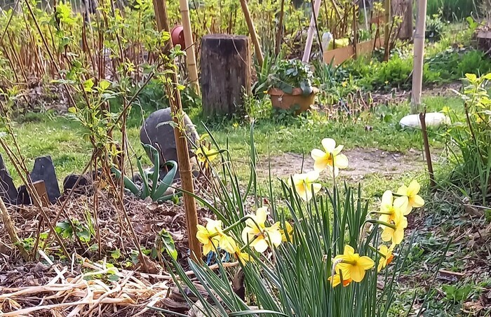 Jeu de piste au jardin