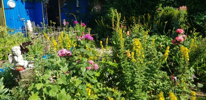Visite libre ou commentée d'un jardin de grand-mère