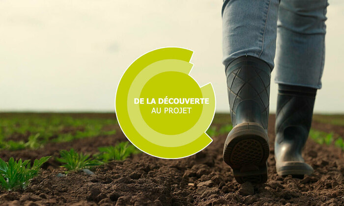 De la découverte au projet - Viticulture - Beaupréau-en-Mauges (49)