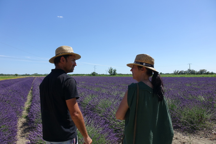 Visite d'une distillerie de lavande