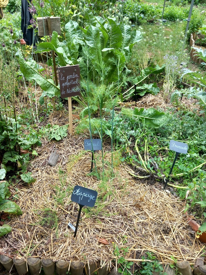 Eveil de regards sur les jardins de la Maison de l'Environnement